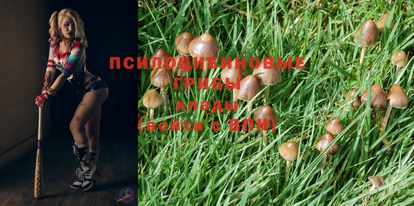 марки nbome Рославль