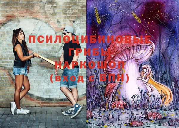 прущая мука Ростов